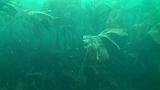 2009-09-23 11-53-05 08L